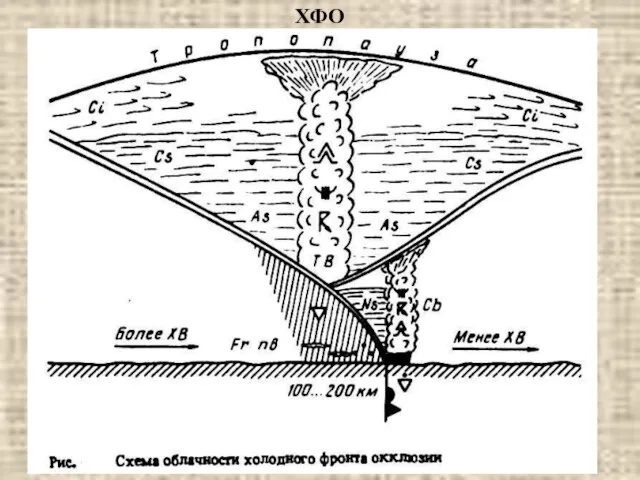 ХФО