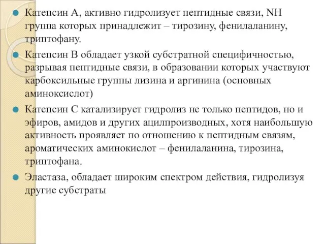 Катепсин А, активно гидролизует пептидные связи, NH группа которых принадлежит – тирозину,