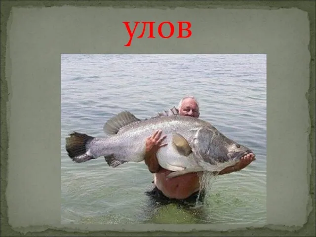 улов