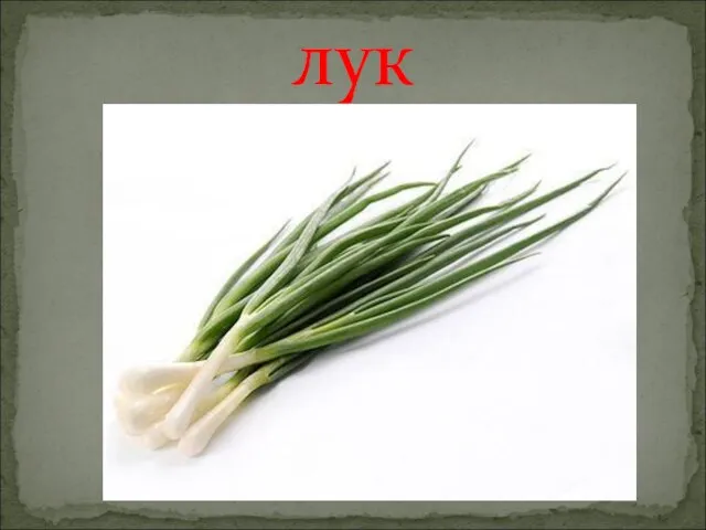 лук