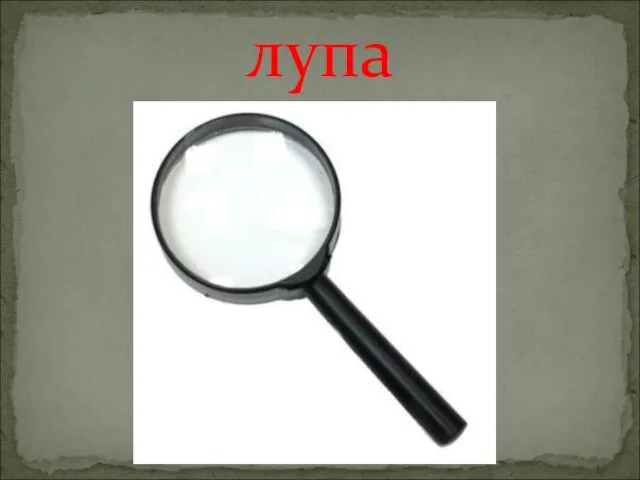 лупа