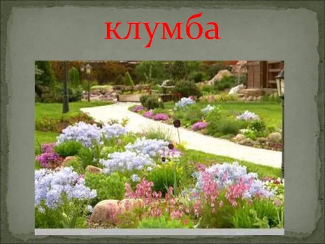 клумба