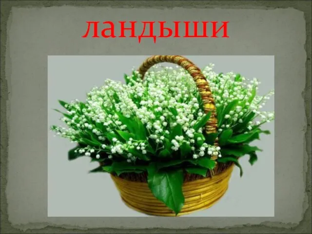 ландыши