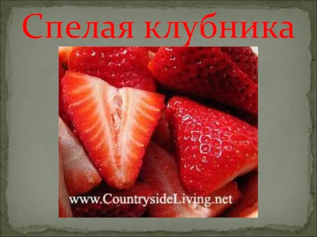 Спелая клубника