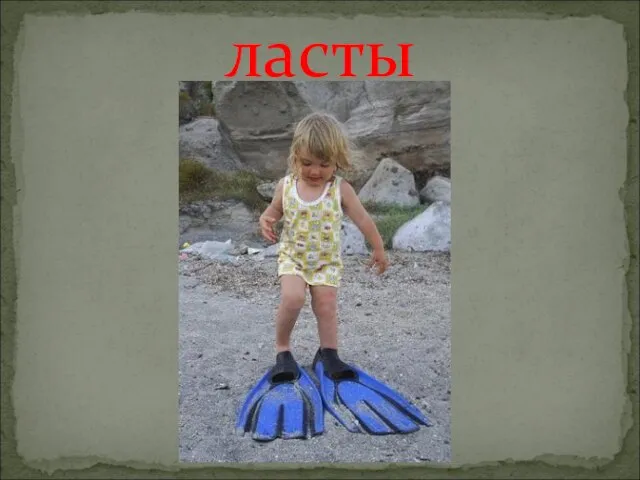 ласты