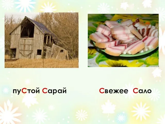 пуСтой Сарай Свежее Сало