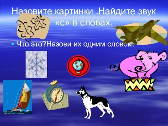 Назовите картинки .Найдите звук «с» в словах. Что это?Назови их одним словом.