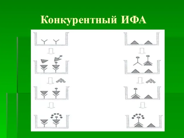 Конкурентный ИФА