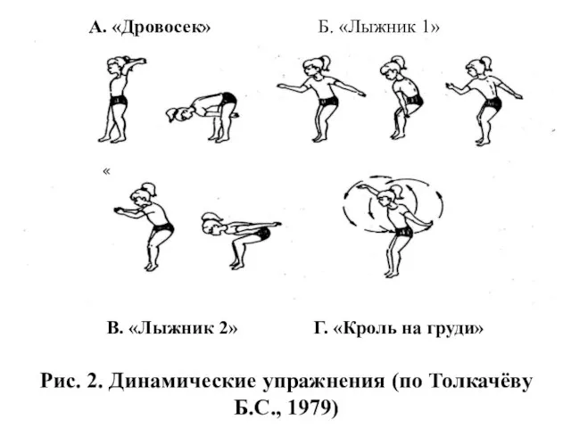 Рис. 2. Динамические упражнения (по Толкачёву Б.С., 1979) « В. «Лыжник 2»