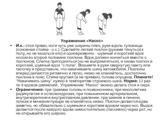 Упражнение «Насос» И.п.: стоя прямо, ноги чуть уже ширины плеч, руки вдоль