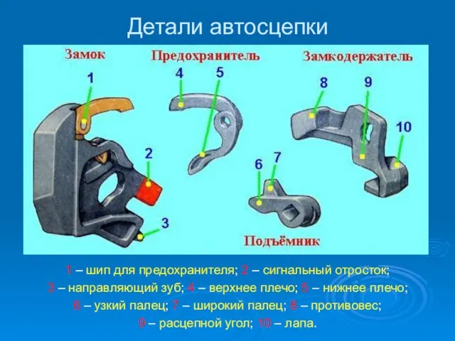 Детали автосцепки 1 – шип для предохранителя; 2 – сигнальный отросток; 3