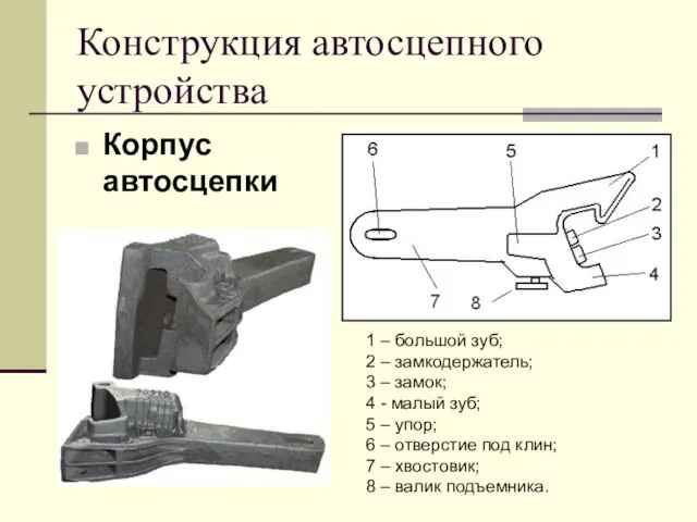 Конструкция автосцепного устройства Корпус автосцепки 1 – большой зуб; 2 – замкодержатель;