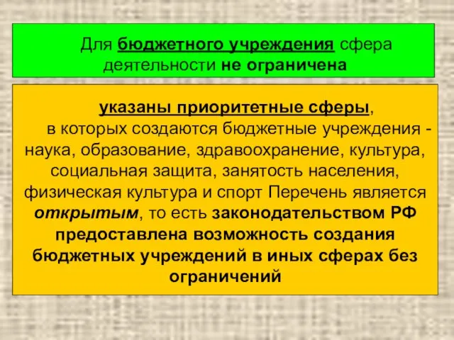 Для бюджетного учреждения сфера деятельности не ограничена указаны приоритетные сферы, в которых