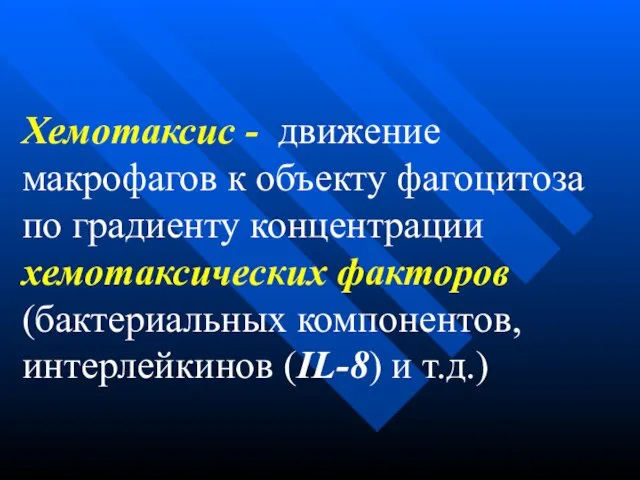 Хемотаксис - движение макрофагов к объекту фагоцитоза по градиенту концентрации хемотаксических факторов