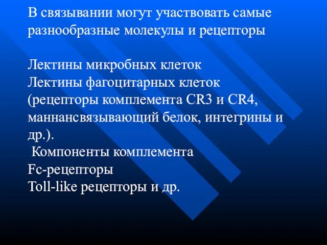 В связывании могут участвовать самые разнообразные молекулы и рецепторы Лектины микробных клеток