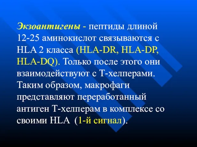 Экзоантигены - пептиды длиной 12-25 аминокислот связываются с HLA 2 класса (HLA-DR,