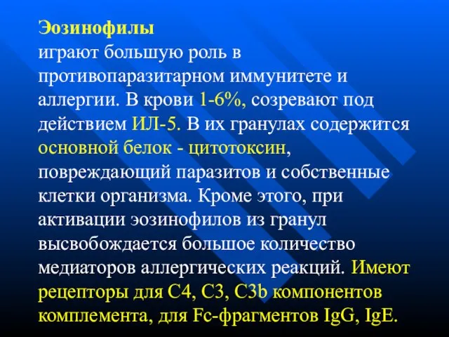 Эозинофилы играют большую роль в противопаразитарном иммунитете и аллергии. В крови 1-6%,