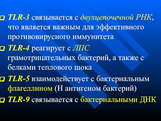 TLR-3 связывается с двухцепочечной РНК, что является важным для эффективного противовирусного иммунитета