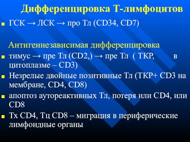 Дифференцировка Т-лимфоцитов ГСК → ЛСК → про Тл (CD34, CD7) Антигеннезависимая дифференцировка