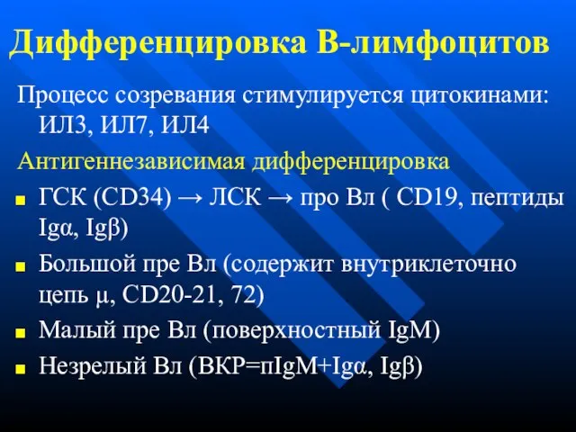 Дифференцировка В-лимфоцитов Процесс созревания стимулируется цитокинами: ИЛ3, ИЛ7, ИЛ4 Антигеннезависимая дифференцировка ГСК