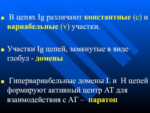 В цепях Ig различают константные (c) и вариабельные (v) участки. Участки Ig