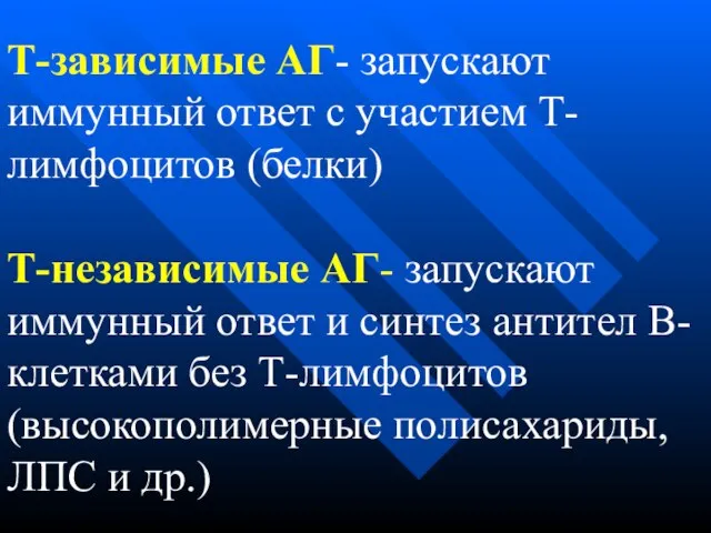 Т-зависимые АГ- запускают иммунный ответ с участием Т-лимфоцитов (белки) Т-независимые АГ- запускают