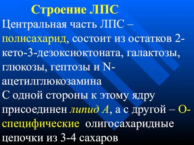 Строение ЛПС Центральная часть ЛПС – полисахарид, состоит из остатков 2-кето-3-дезоксиоктоната, галактозы,