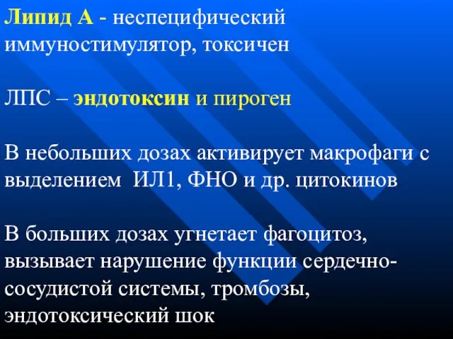 Липид А - неспецифический иммуностимулятор, токсичен ЛПС – эндотоксин и пироген В