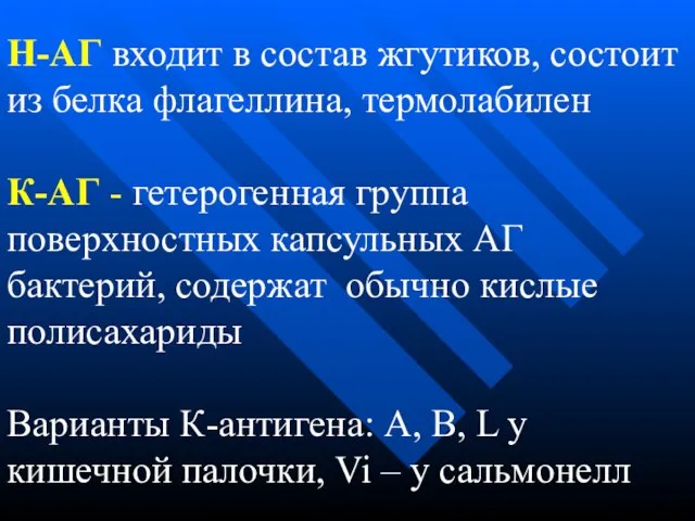 Н-АГ входит в состав жгутиков, состоит из белка флагеллина, термолабилен К-АГ -