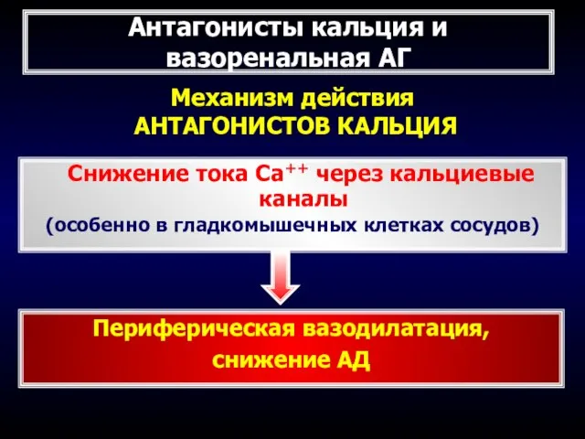 Механизм действия АНТАГОНИСТОВ КАЛЬЦИЯ Снижение тока Са++ через кальциевые каналы (особенно в