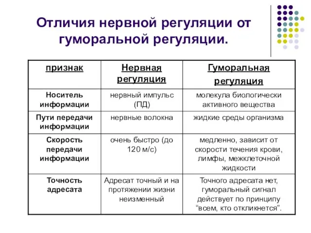 Отличия нервной регуляции от гуморальной регуляции.