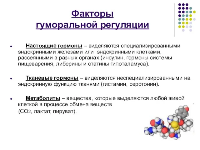 Факторы гуморальной регуляции Настоящие гормоны – виделяются специализированными эндокринными железами или эндокринными