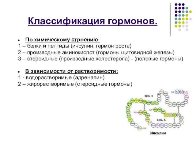 Классификация гормонов. По химическому строению: 1 – белки и пептиды (инсулин, гормон