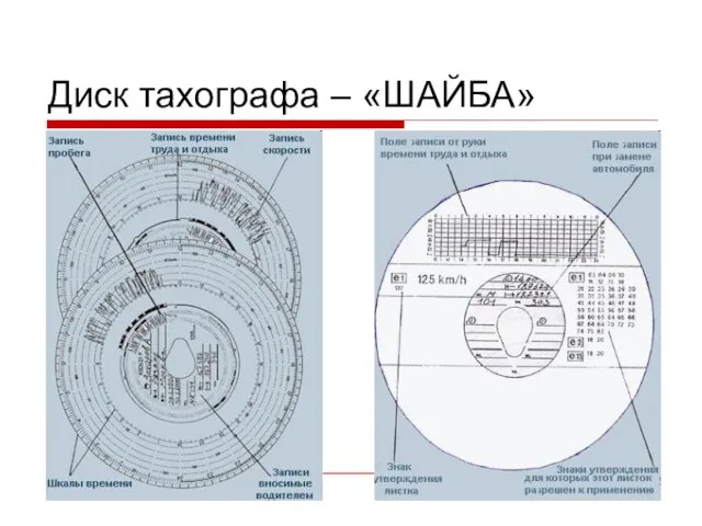 Диск тахографа – «ШАЙБА»