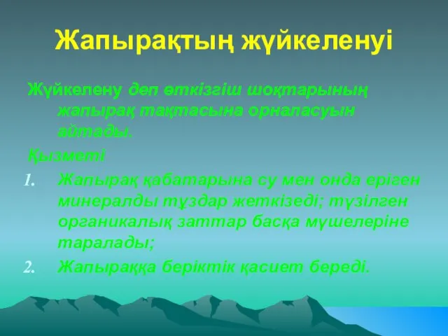 Жапырақтың жүйкеленуі Жүйкелену деп өткізгіш шоқтарының жапырақ тақтасына орналасуын айтады. Қызметі Жапырақ