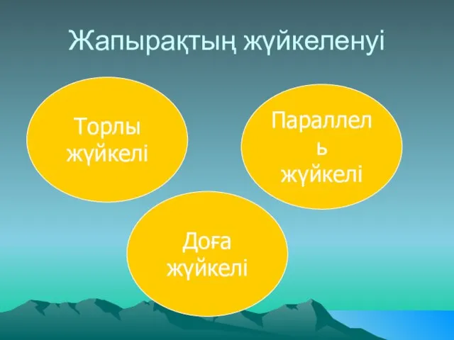 Жапырақтың жүйкеленуі Торлы жүйкелі Доға жүйкелі Параллель жүйкелі