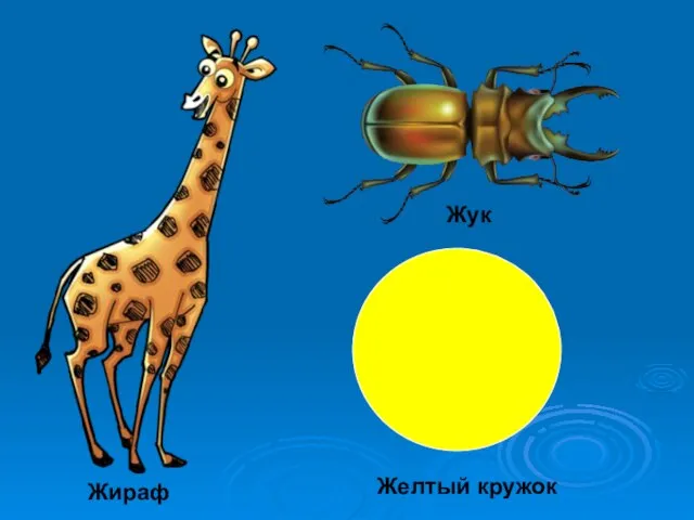 Жираф Жук Желтый кружок