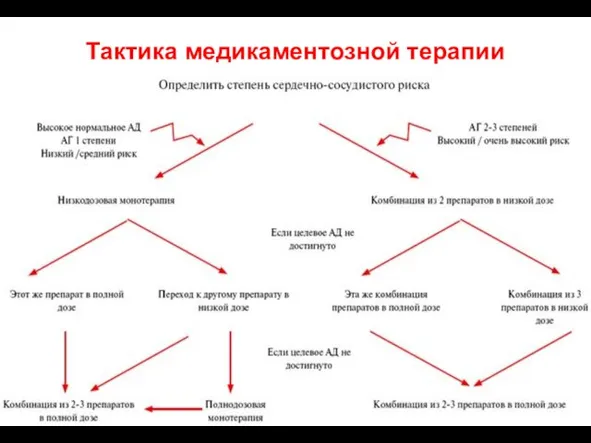 Тактика медикаментозной терапии