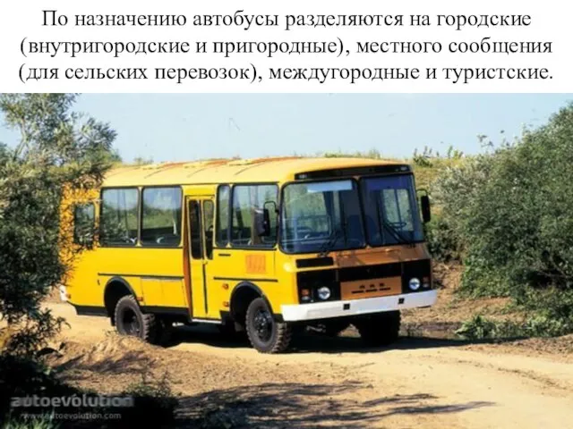 По назначению автобусы разделяются на городские (внутригородские и пригородные), местного сообщения (для