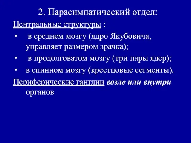 2. Парасимпатический отдел: Центральные структуры : в среднем мозгу (ядро Якубовича, управляет