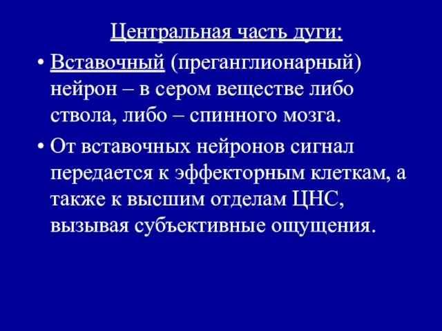 Центральная часть дуги: Вставочный (преганглионарный) нейрон – в сером веществе либо ствола,