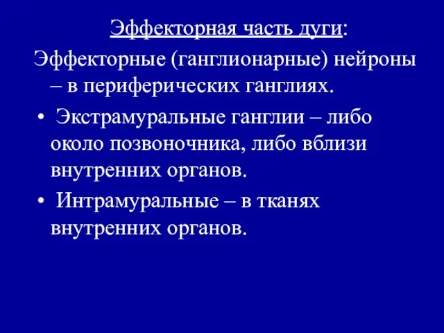 Эффекторная часть дуги: Эффекторные (ганглионарные) нейроны – в периферических ганглиях. Экстрамуральные ганглии