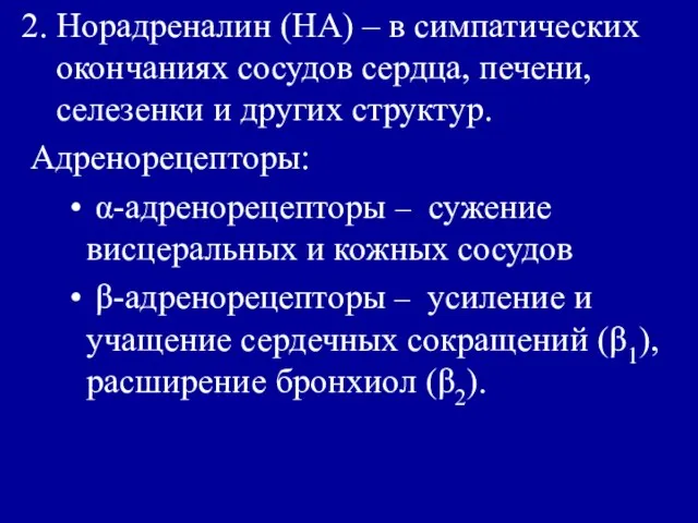 Норадреналин (НА) – в симпатических окончаниях сосудов сердца, печени, селезенки и других