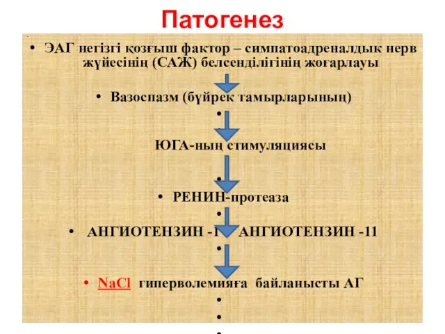 Патогенез ЭАГ негізгі қозғыш фактор – симпатоадреналдык нерв жүйесінің (САЖ) белсенділігінің жоғарлауы