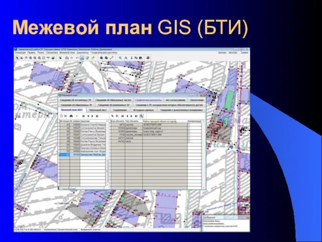 Межевой план GIS (БТИ)