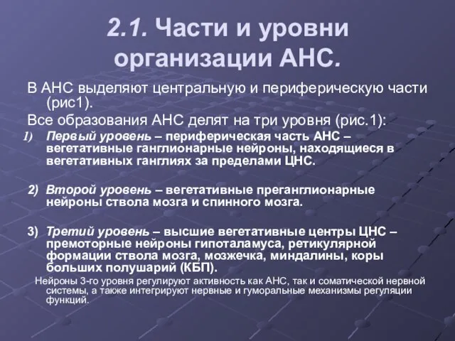 2.1. Части и уровни организации АНС. В АНС выделяют центральную и периферическую