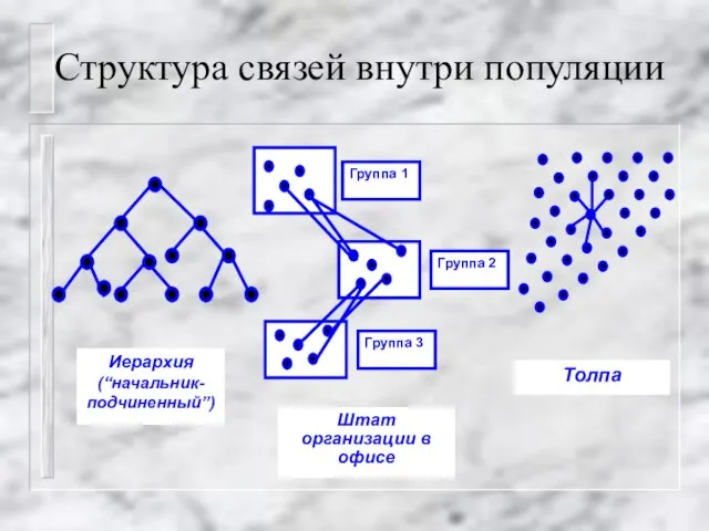 Структура связей внутри популяции