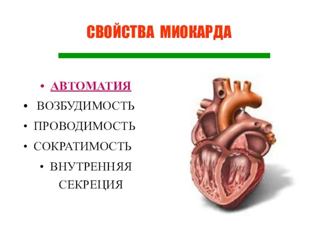 СВОЙСТВА МИОКАРДА АВТОМАТИЯ ВОЗБУДИМОСТЬ ПРОВОДИМОСТЬ СОКРАТИМОСТЬ ВНУТРЕННЯЯ СЕКРЕЦИЯ