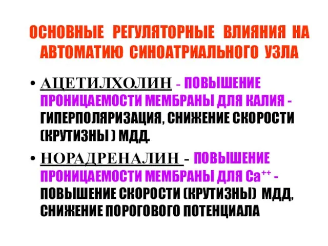 ОСНОВНЫЕ РЕГУЛЯТОРНЫЕ ВЛИЯНИЯ НА АВТОМАТИЮ СИНОАТРИАЛЬНОГО УЗЛА АЦЕТИЛХОЛИН - ПОВЫШЕНИЕ ПРОНИЦАЕМОСТИ МЕМБРАНЫ