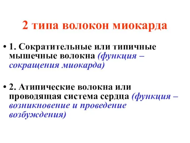 2 типа волокон миокарда 1. Сократительные или типичные мышечные волокна (функция –